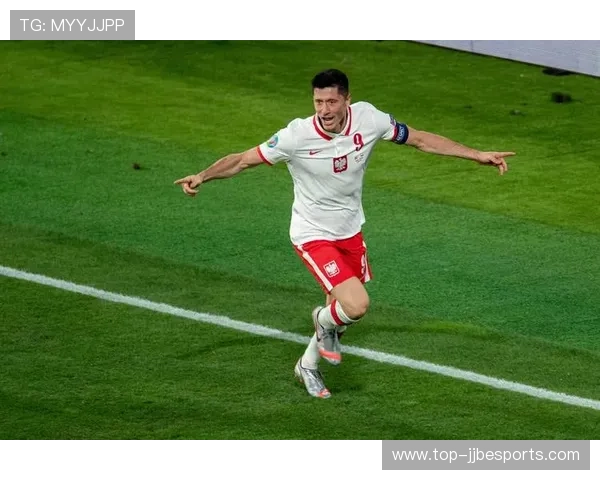 芬兰足球队的明星球员介绍与成就分析